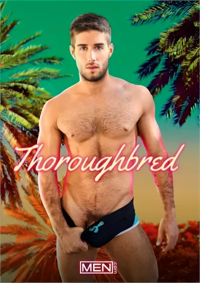 Thoroughbred — MEN.com